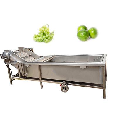 Industrial Air Bubble Ozone Fruit Vegetable Washing Machine